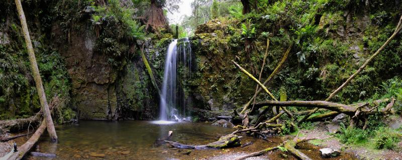 pano2(4x10 crop).jpg